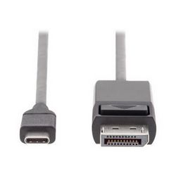 Kabel DisplayPort DIGITUS (USB-C do DisplayPort, 2 m)