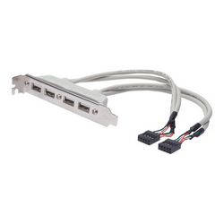 Kabel USB DIGITUS (2 x USB Type-A/2 x IDC 10-pin, 25 cm)