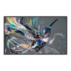 LCD zaslon PHILIPS LCD-Display 55BDL3511Q (140 cm (55"), 3840 x 2160 4K UHD)