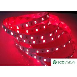 EcoVision LED traka 0.5m, 3528, 60LED/m, 4.8W/m, 36V DC, crvena