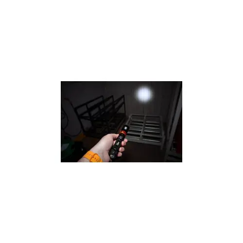 3-in-1-lamp-73046-wlononwcrbpaw.webp