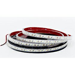 EcoVision LED traka 5m, 3528, 120LED/m, 9.6W/m, 24V DC, 6000K, IP67