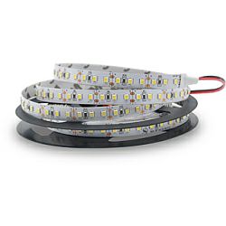 EcoVision LED traka 5m, 2835, 120LED/m, 14.4W/m, 24V DC, 6000K, IP20