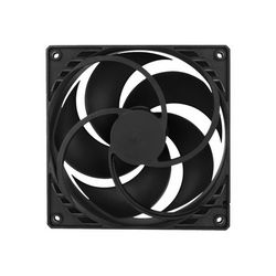 536006_4.jpg