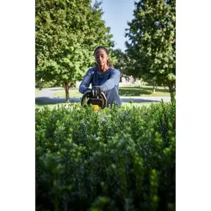 54v-xr-fv-hedge-trimmer-1x9ah-77501-wlononwcrfkpi.webp