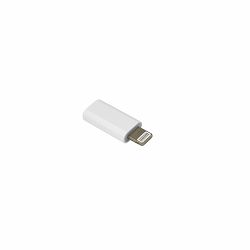 ADIPH-TYPEC-SM_2.jpg