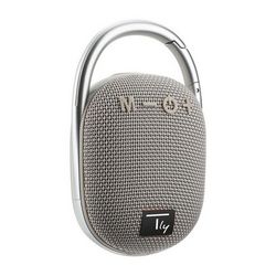 Prijenosni zvučnik TECHLY ICASBL321GR (mono, 5 W, sivi)