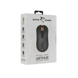 ARTHUR_8.jpg