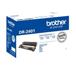 BEBBROBRO0002_2.jpg