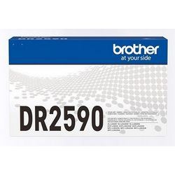 BEBBROBRO0007_2.jpg