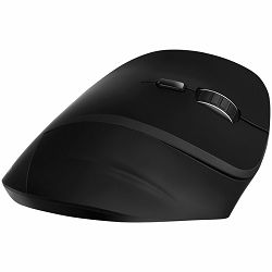 CNS-CMSW6B_4.jpg