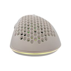 CORAL-W_5.jpg
