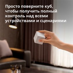 CTP-R01_13.jpg