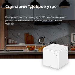 CTP-R01_37.jpg