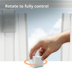 CTP-R01_52.jpg
