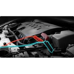 ECOPB-AUTOBAT_8012.jpg