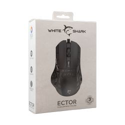 ECTOR-B_7.jpg