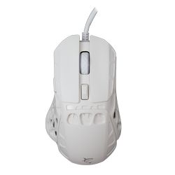 ECTOR-W_1.jpg