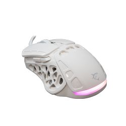 ECTOR-W_2.jpg
