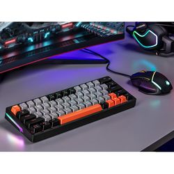 GAMTRCKLA0003_6.jpg