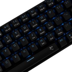 KAIKEN-US_3.jpg