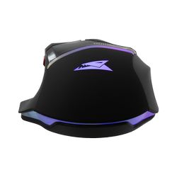 MANTA-B_3.jpg