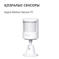 MS-S02_6.jpg