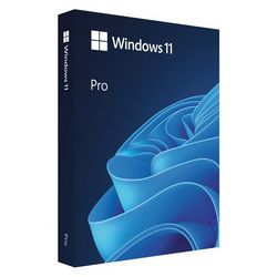 Operativni sustav Microsoft Windows 11 Professional (BOX, USB, PL)
