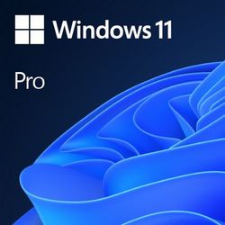 Operativni sustav Microsoft Windows 11 Pro (OEM)