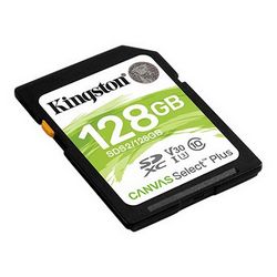 PAMKINSDG0232_6.jpg