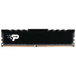 PAMPATDR40186_2.jpg