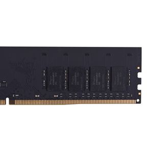 PAMPNYDR40019_5.jpg