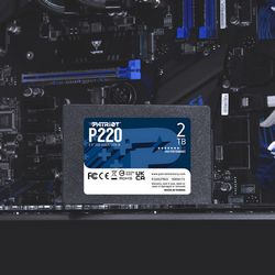 PATSD-2TB_P220_16004.jpg