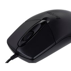 PERA4TMYS0377_7.jpg