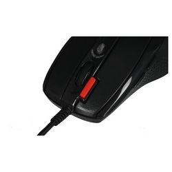 PERA4TMYS0380_7.jpg