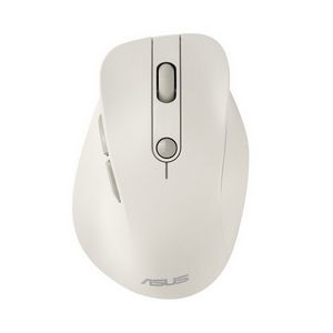 PERASUMYS0082_1.jpg