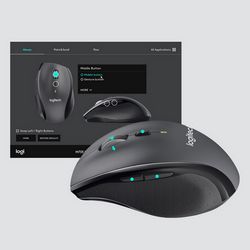 PERLOGMYS0227_4.jpg