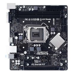 PLYBIO1550001_2.jpg