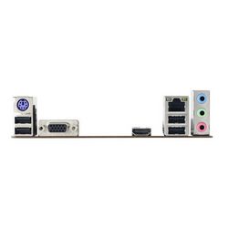 PLYBIO1550001_4.jpg