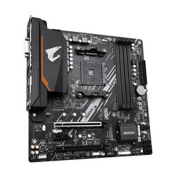 PLYGIGAM40045_3.jpg