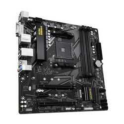 PLYGIGAM40056_3.jpg