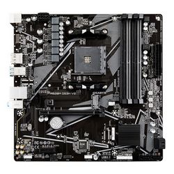 PLYGIGAM40081_1.jpg