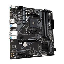 PLYGIGAM40081_2.jpg