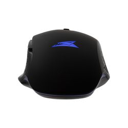 RAPTOR_3.jpg