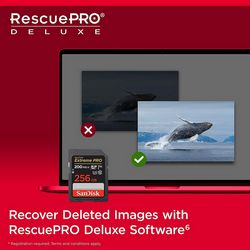 SANMC-256GB-SD_3.jpg