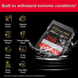 SANMC-256GB-SD_6.jpg