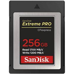 SANMC-256GB_CF_1.jpg