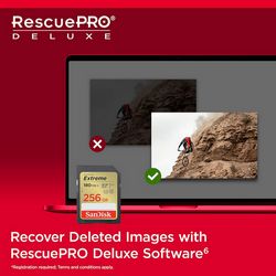 SANMC-256GB_EXTR_SD_20004.jpg