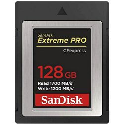 SANMC-28GB_CF_1.jpg