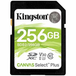 SDS2-256GB_1.jpg